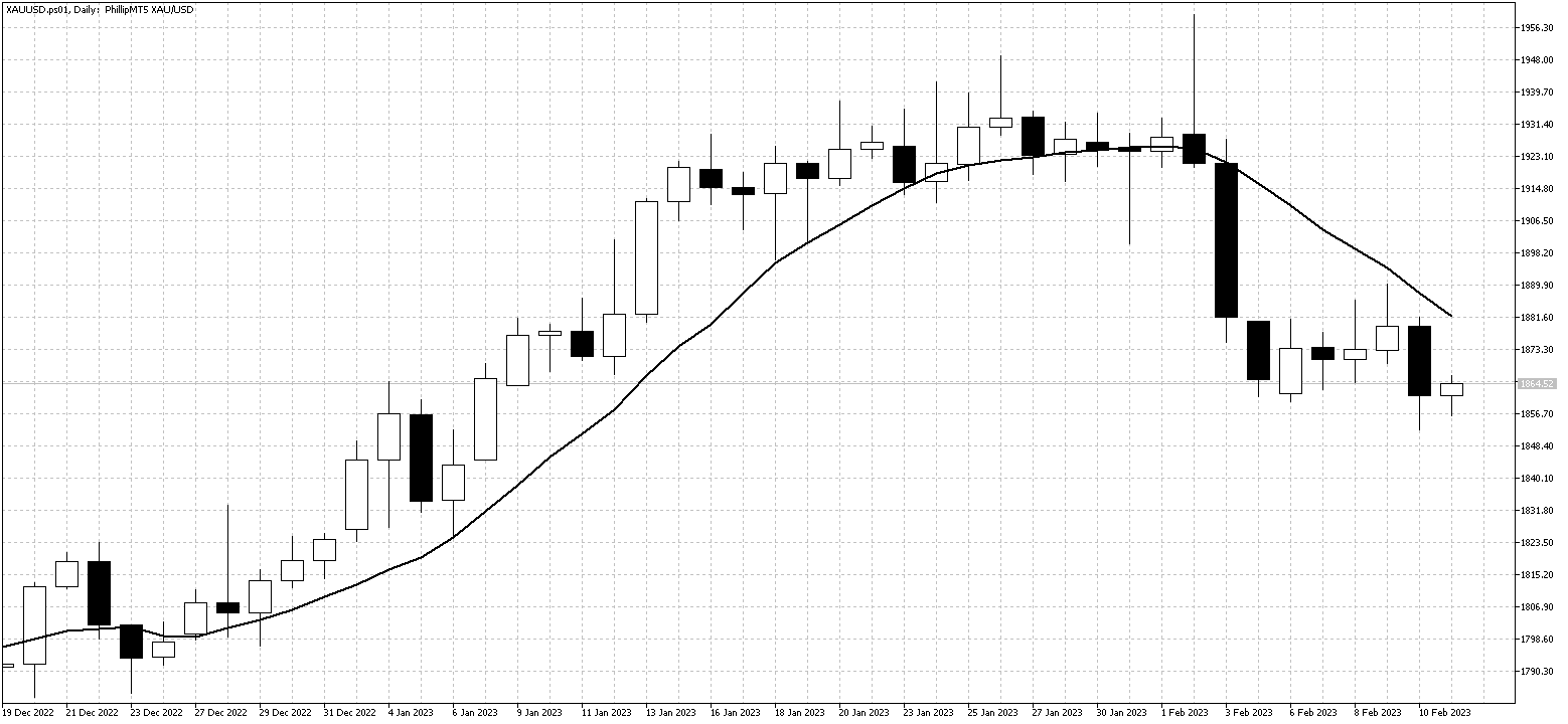 XAUUSD DailyFeb13